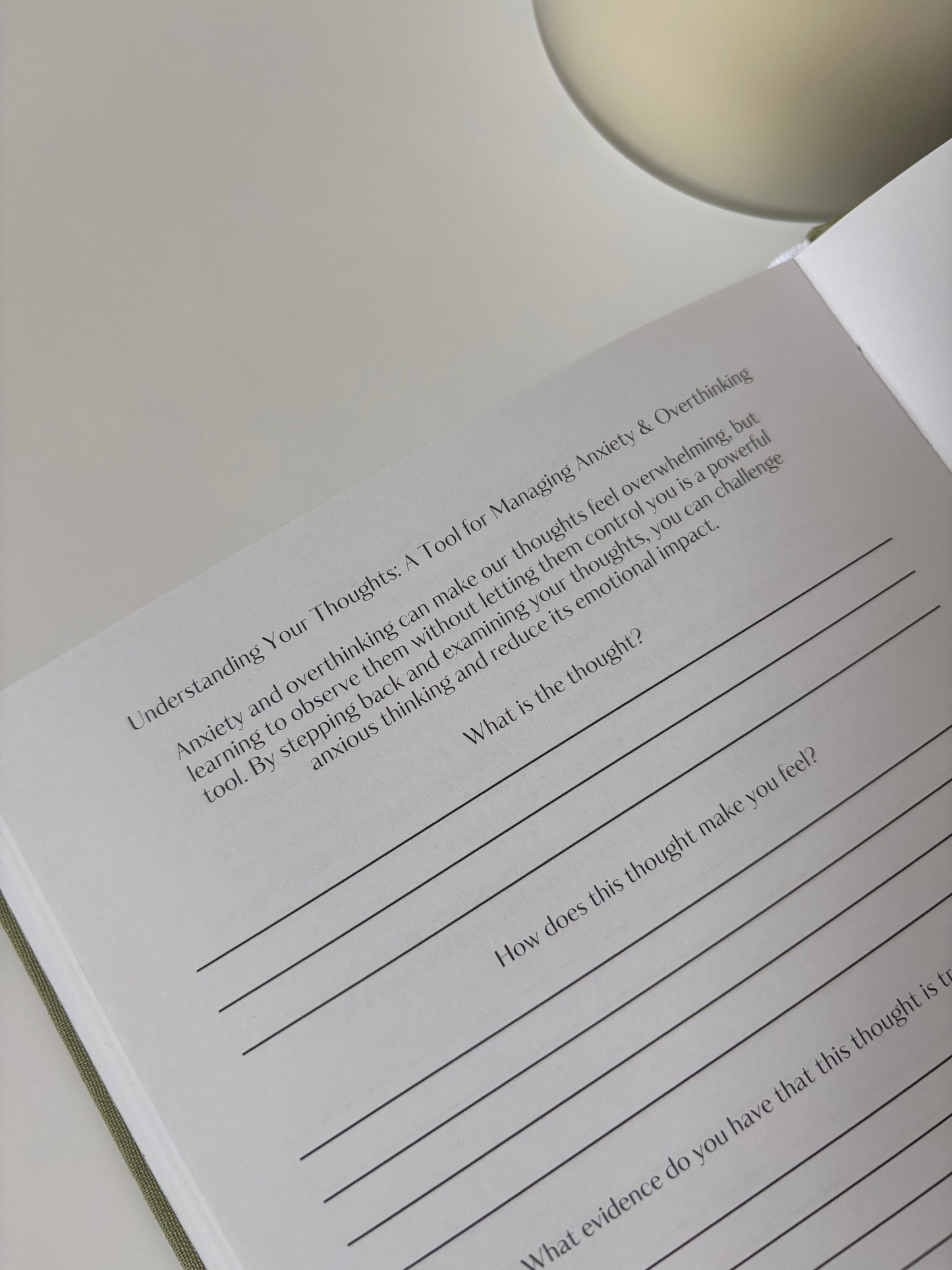The Mind Plan Journal