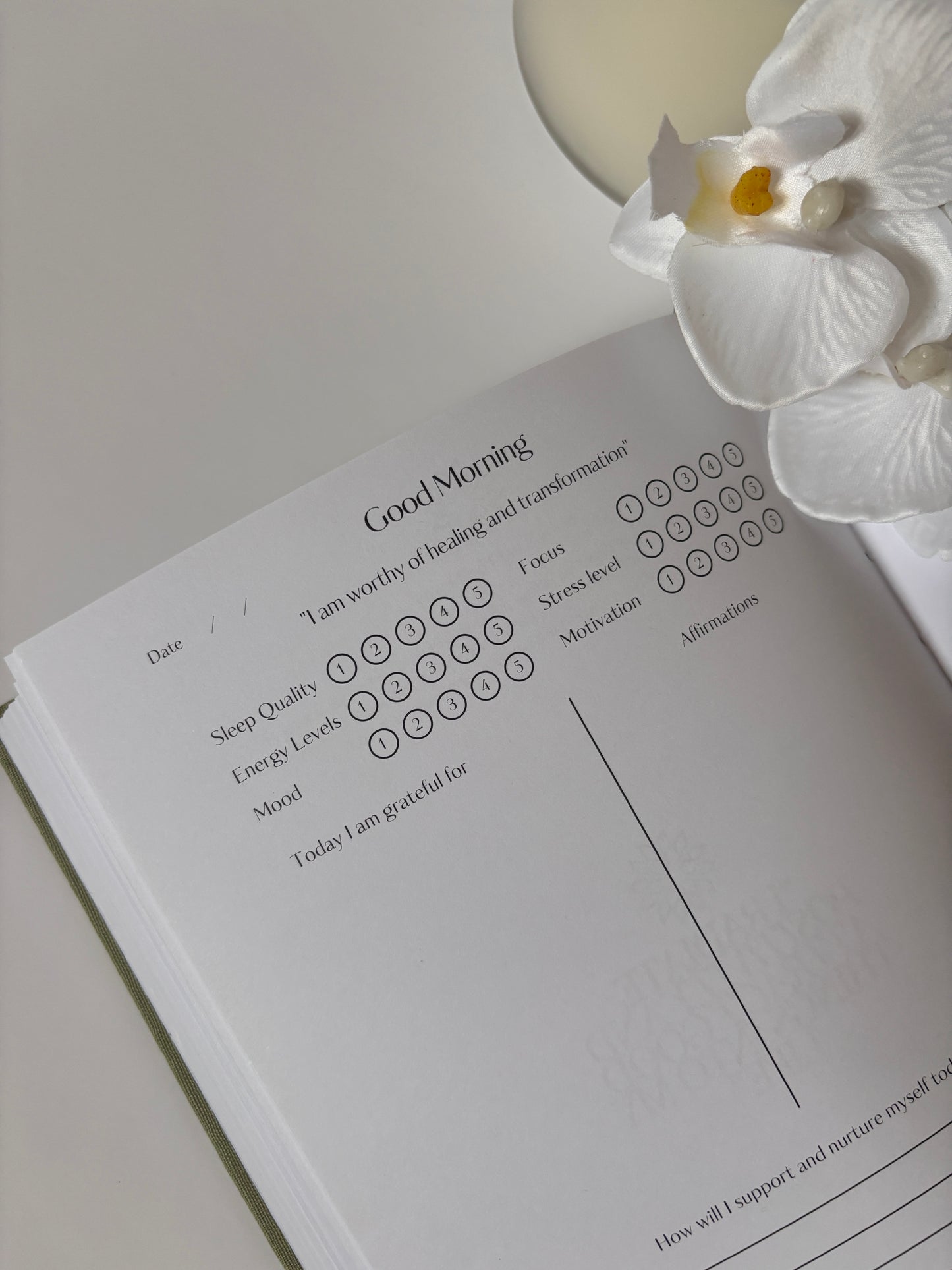The Mind Plan Journal