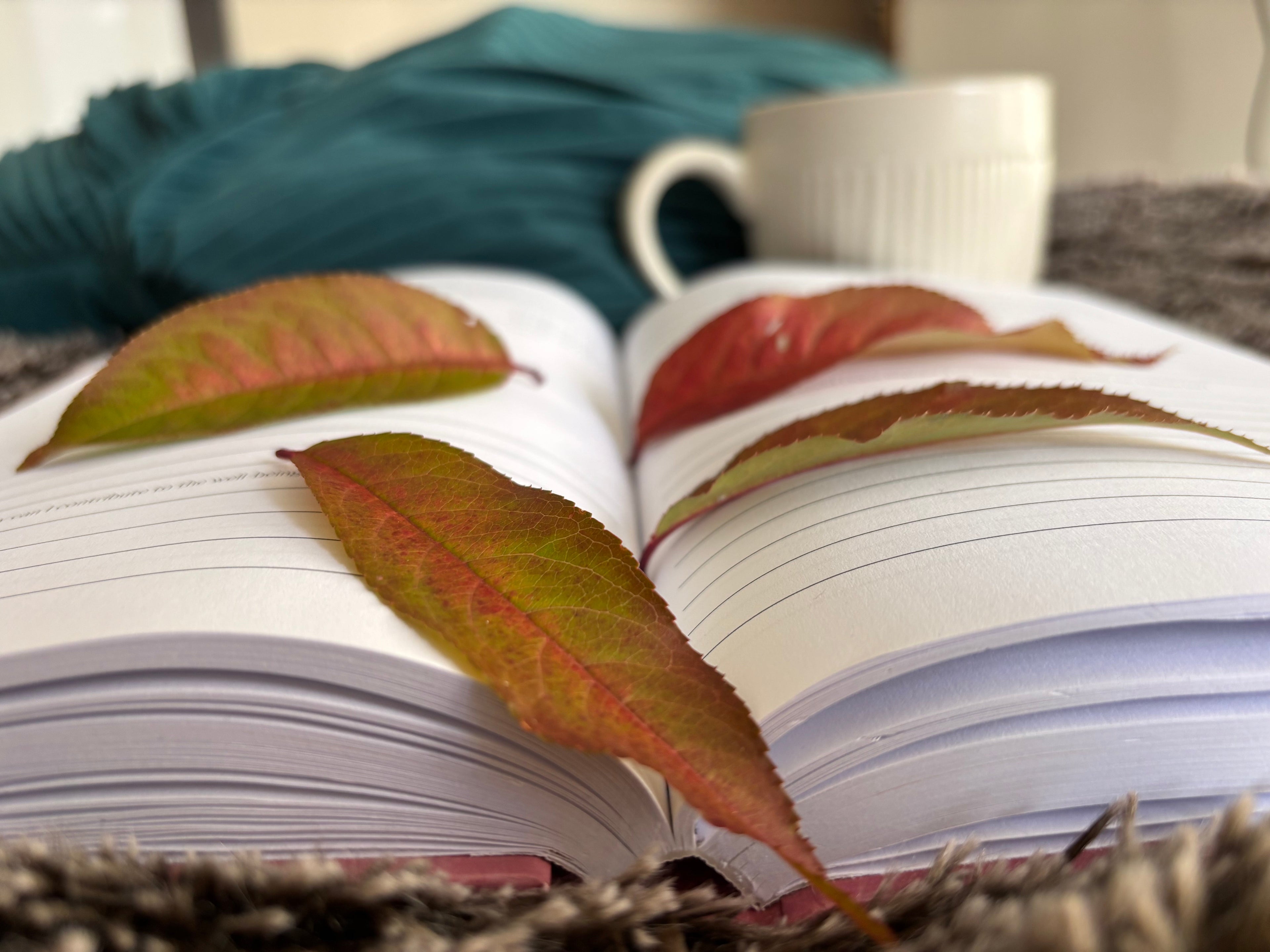 How to Journal Consistently (Even on Your Busiest Days)