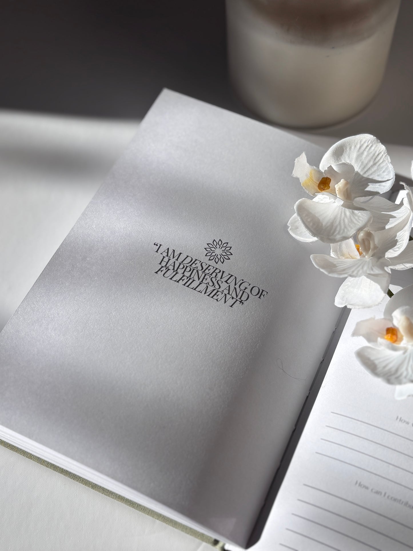 The Mind Plan Journal