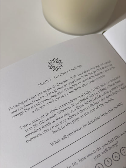 The Mind Plan Journal