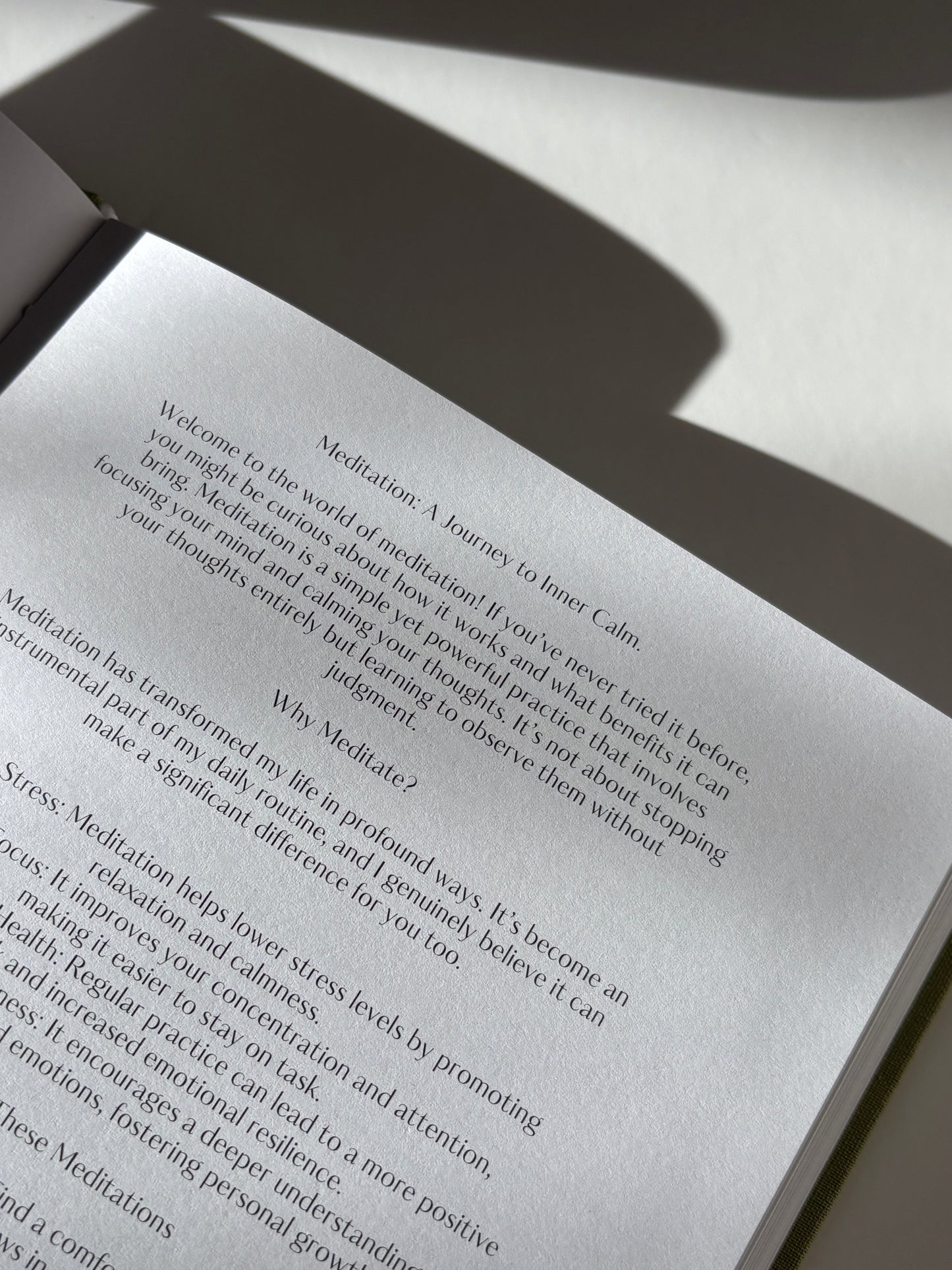 The Mind Plan Journal