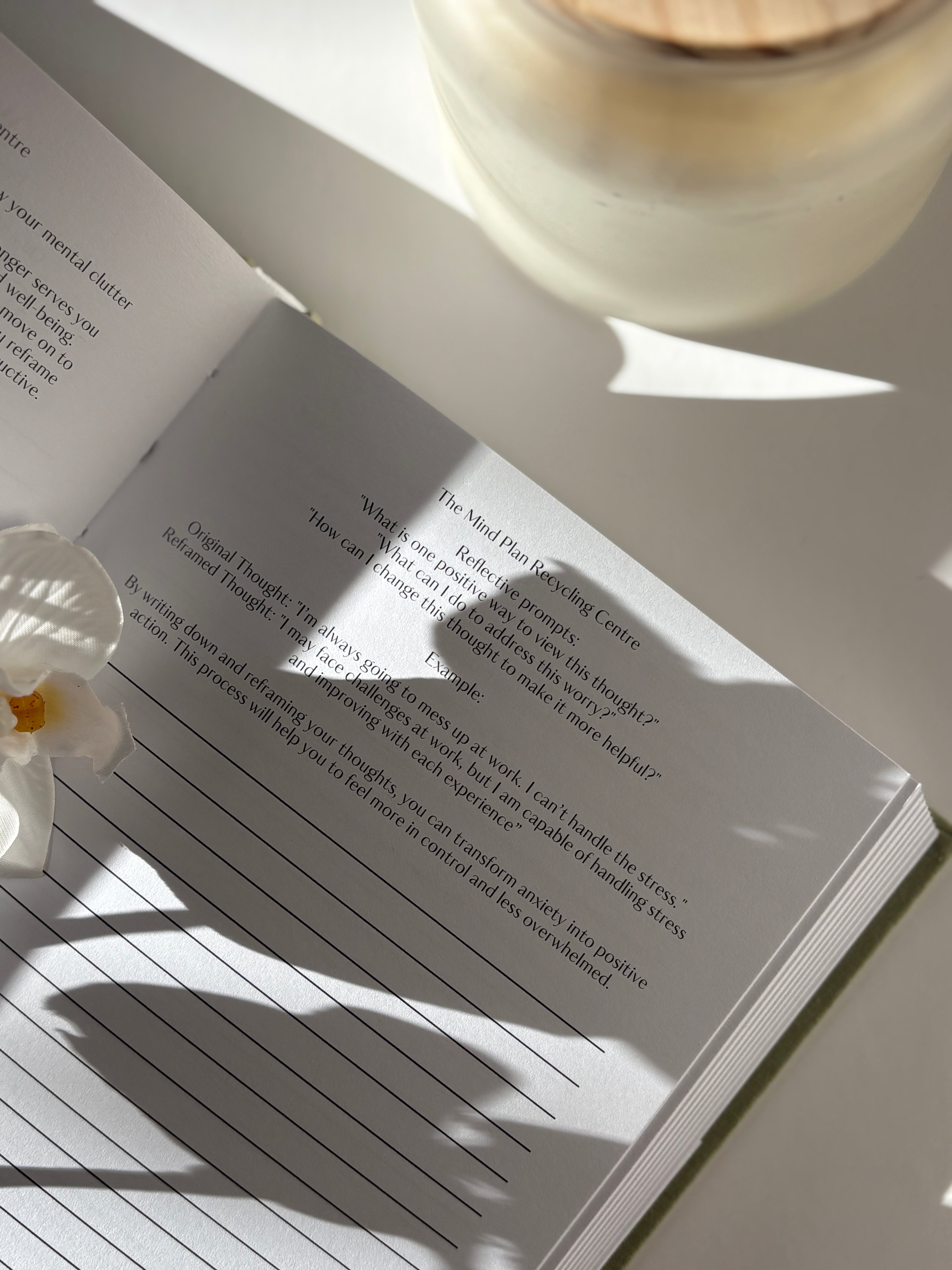 The Mind Plan Journal