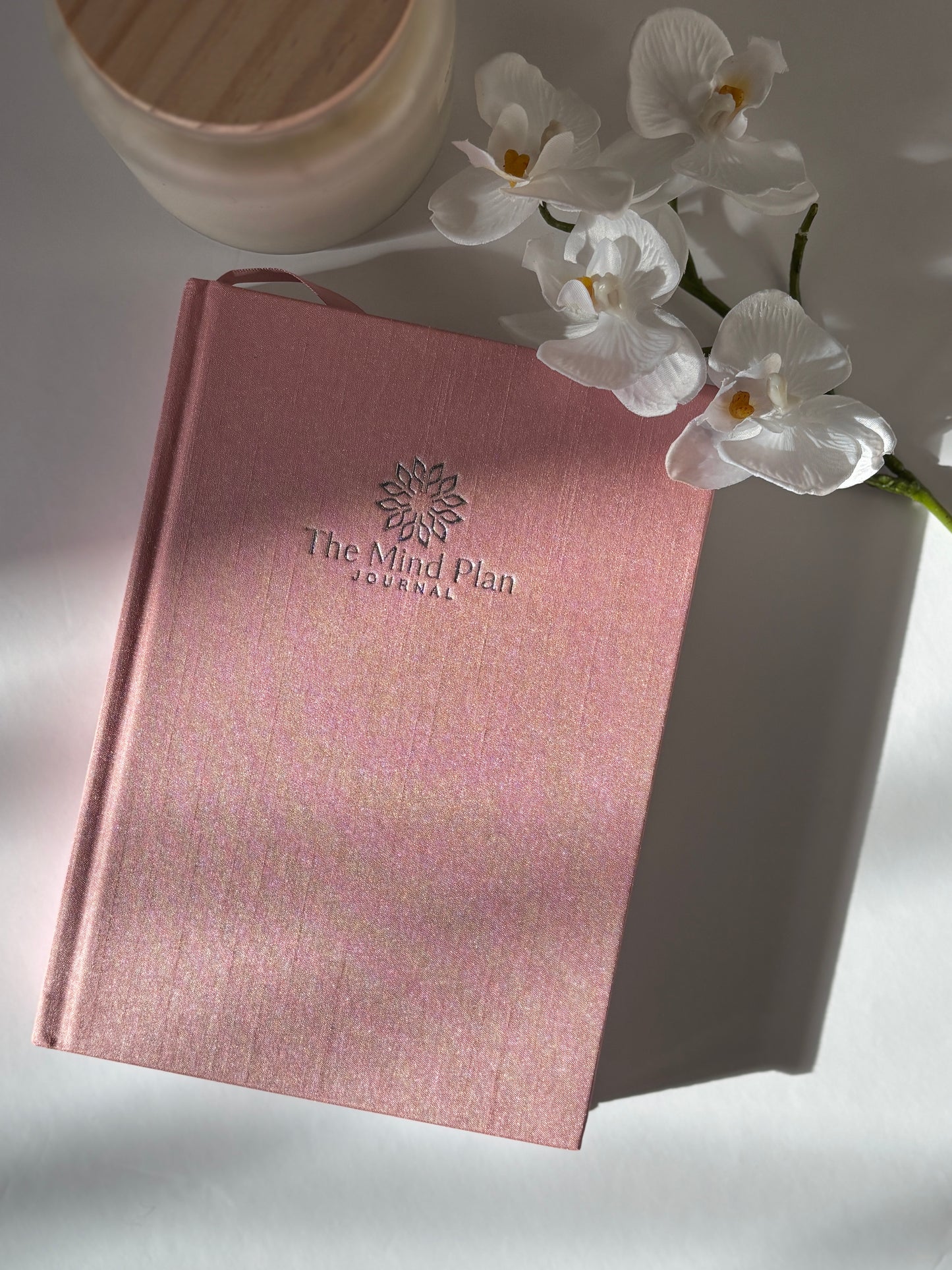 The Mind Plan Journal