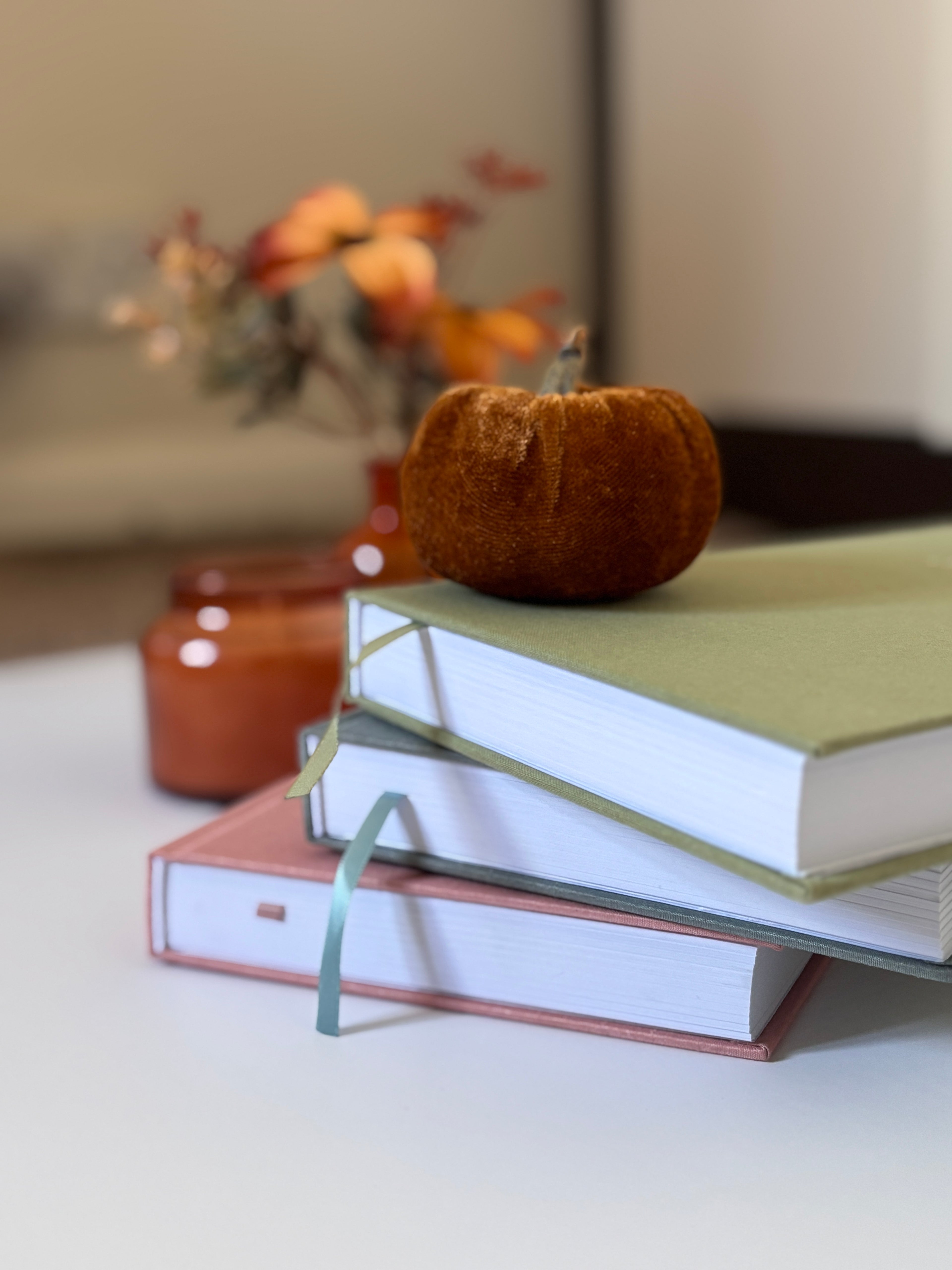 The Mind Plan Journal